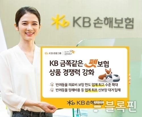 사진ㅣKB손해보험