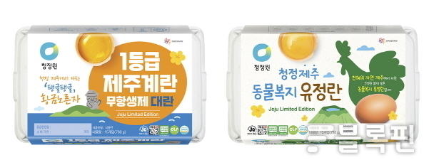 사진|대상