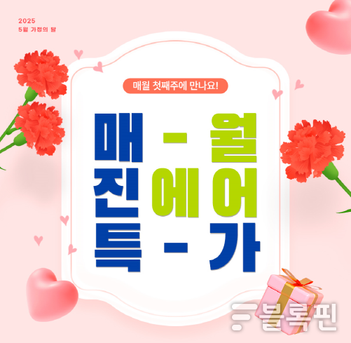 이미지|진에어