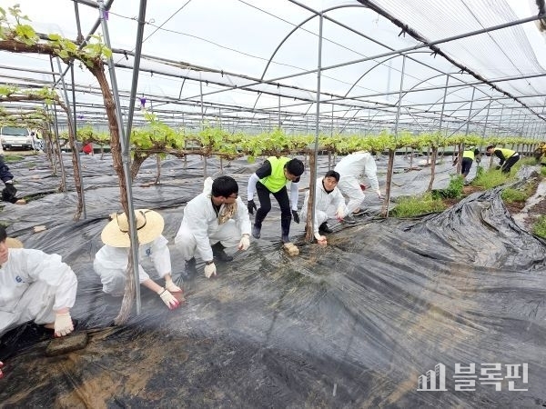 2025년도 농촌봉사활동. 사진ㅣ국립부경대학교 