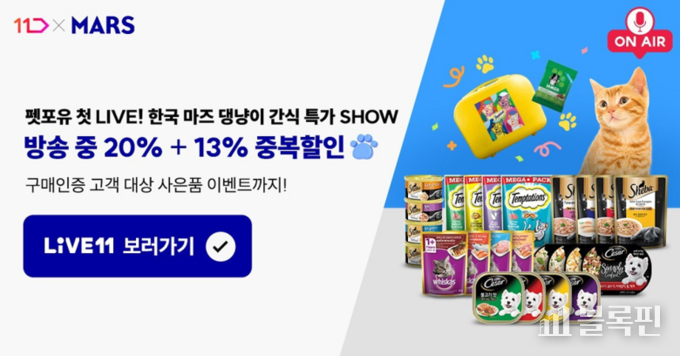 11번가 라이브 방송 코너 '펫포유'. 사진ㅣ11번가
