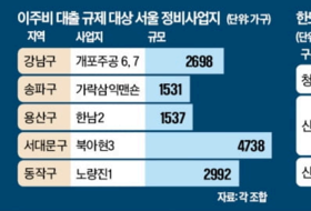 대출 규제 여파에 빌라·재건축 직격탄…아파트 쏠림 심화 우려