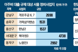 대출 규제 여파에 빌라·재건축 직격탄…아파트 쏠림 심화 우려
