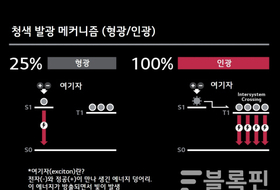 LG디스플레이, ‘꿈의 OLED’ 실현할 마지막 퍼즐 완성했다